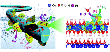 Graphical abstract: Seamlessly conductive Co(OH)2 tailored atomically dispersed Pt electrocatalyst with a hierarchical nanostructure for an efficient hydrogen evolution reaction