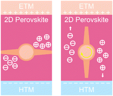 Graphical abstract: Universal approach toward high-efficiency two-dimensional perovskite solar cells via a vertical-rotation process