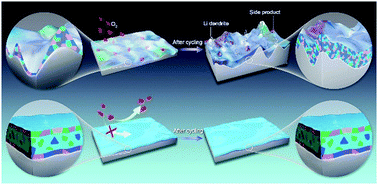 Graphical abstract: An oxygen-blocking oriented multifunctional solid–electrolyte interphase as a protective layer for a lithium metal anode in lithium–oxygen batteries