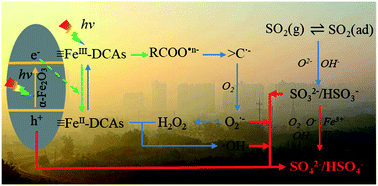 Graphical abstract: Atmospheric organic complexation enhanced sulfate formation and iron dissolution on nano α-Fe2O3