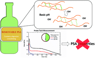 Graphical abstract: Incorporation of novel degradable oligoester crosslinkers into waterborne pressure sensitive adhesives: towards removable adhesives