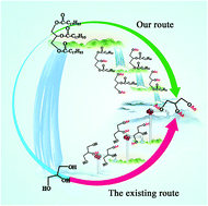 Graphical abstract: The driving effect of substituent size changes on reaction: a novel reaction for direct production of triacetylglycerol from oils and fats
