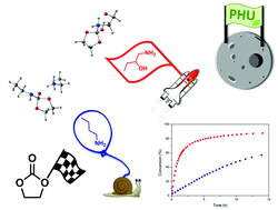 Graphical abstract: Enhanced aminolysis of cyclic carbonates by β-hydroxylamines for the production of fully biobased polyhydroxyurethanes