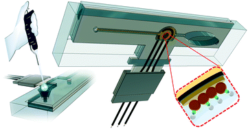Graphical abstract: Hybrid paper and 3D-printed microfluidic device for electrochemical detection of Ag nanoparticle labels
