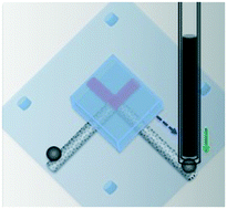 Graphical abstract: Bioinspired reconfiguration of 3D printed microfluidic hydrogels via automated manipulation of magnetic inks