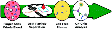 Graphical abstract: Direct loading of blood for plasma separation and diagnostic assays on a digital microfluidic device