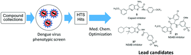 Graphical abstract: Recent progress on phenotype-based discovery of dengue inhibitors