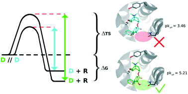 Graphical abstract: A structure–kinetic relationship study using matched molecular pair analysis