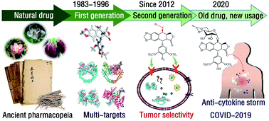 Graphical abstract: Challenges and potential for improving the druggability of podophyllotoxin-derived drugs in cancer chemotherapy