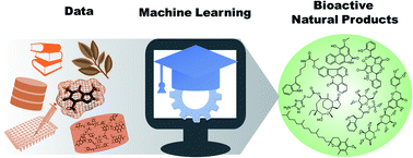 Graphical abstract: Machine learning approaches for elucidating the biological effects of natural products