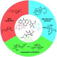 Graphical abstract: Building trans-bicyclo[4.4.0]decanes/decenes in complex multifunctional frameworks: the case for antibiotic development
