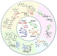 Graphical abstract: Heptose-containing bacterial natural products: structures, bioactivities, and biosyntheses