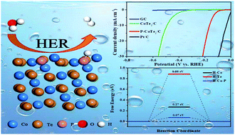 Graphical abstract: Phosphorus-doped CoTe2/C nanoparticles create new Co–P active sites to promote the hydrogen evolution reaction