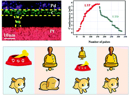 Graphical abstract: A carbon-based memristor design for associative learning activities and neuromorphic computing