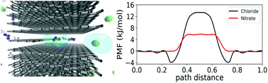 Graphical abstract: Selectivity of nitrate and chloride ions in microporous carbons: the role of anisotropic hydration and applied potentials