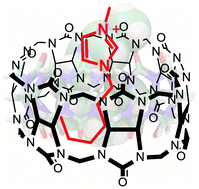 Graphical abstract: Encapsulation of ionic liquids inside cucurbiturils