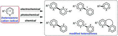 Graphical abstract: Recent progress in (hetero)arene cation radical-based heteroarene modification