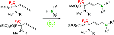 Graphical abstract: Synthesis of α-CF3-substituted E-dehydroornithine derivatives via copper(i)-catalyzed hydroamination of allenes