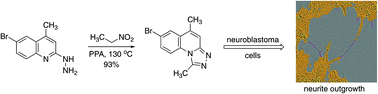 Graphical abstract: Nitroalkanes as electrophiles: synthesis of triazole-fused heterocycles with neuroblastoma differentiation activity