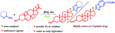 Graphical abstract: Fe(iii)-Catalyzed synthesis of steroidal imidazoheterocycles as potent antiproliferative agents