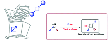 Graphical abstract: The renaissance of strained 1-azabicyclo[1.1.0]butanes as useful reagents for the synthesis of functionalized azetidines