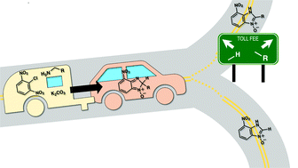 Graphical abstract: Using experimental and computational approaches to probe an unusual carbon–carbon bond cleavage observed in the synthesis of benzimidazole N-oxides