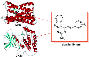 Graphical abstract: Kinase and GPCR polypharmacological approach for the identification of efficient anticancer medicines