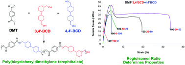 Graphical abstract: Synthesis of poly(bicyclohexyldimethylene terephthalate): effect of regioisomer ratios on physical properties
