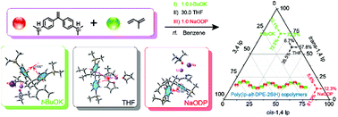 Graphical abstract: Regulation of cis and trans microstructures of isoprene units in alternating copolymers via “space-limited” living species in anionic polymerization