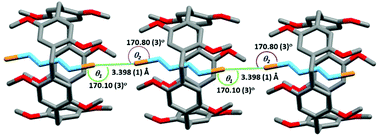 Graphical abstract: Pillar[5]arene-based self-assembled linear supramolecular polymer driven by guest halogen–halogen interactions in solid and solution states