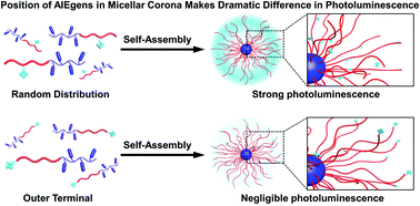 Graphical abstract: Aggregation-induced emission from the crowded coronal chains of block copolymer micelles