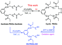 Graphical abstract: Synthesis of cyclic poly(2-ethyl-2-oxazoline) with a degradable disulfide bond