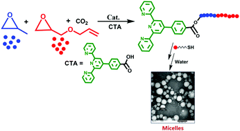 Graphical abstract: Synthesis of terpyridine-containing polycarbonates with post polymerization providing water-soluble and micellar polymers and their metal complexes
