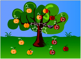 Graphical abstract: Poly(2-isopropenyl-2-oxazoline) – a structural analogue to poly(vinyl azlactone) with Orthogonal Reactivity