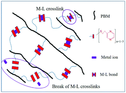 Graphical abstract: Highly stretchable and strong poly(butylene maleate) elastomers via metal–ligand interactions