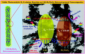 Graphical abstract: Integration of perovskite type Bi2MoO6 nanosheets onto one dimensional CdS: a type-II heterostructured photocatalytic system for efficient charge separation in the hydrogen evolution reaction
