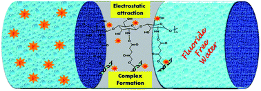 Graphical abstract: Dicarboxylic acid cross-linked metal ion decorated bentonite clay and chitosan for fluoride removal studies