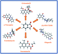 Graphical abstract: Recent advancements in synthetic methodologies of 3-substituted phthalides and their application in the total synthesis of biologically active natural products
