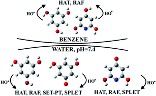 Graphical abstract: Comparison of the scavenging capacities of phloroglucinol and 2,4,6-trihydroxypyridine towards HO˙ radical: a computational study