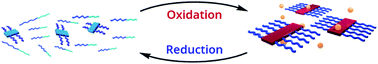 Graphical abstract: Oxidation promoted self-assembly of π-conjugated polymers