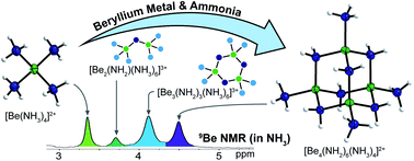 Graphical abstract: Speciation of Be2+ in acidic liquid ammonia and formation of tetra- and octanuclear beryllium amido clusters