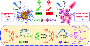 Graphical abstract: Rational design of a “dual lock-and-key” supramolecular photosensitizer based on aromatic nucleophilic substitution for specific and enhanced photodynamic therapy