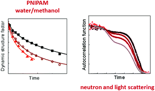 Graphical abstract: Co-nonsolvency in concentrated aqueous solutions of PNIPAM: effect of methanol on the collective and the chain dynamics