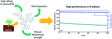 Graphical abstract: Saponin-containing multifunctional binder toward superior long-term cycling stability in Li–S batteries