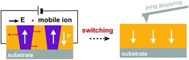 Graphical abstract: Unconventional out-of-plane domain inversion via in-plane ionic migration in a van der Waals ferroelectric