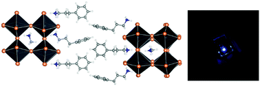 Graphical abstract: Phase control for quasi-2D blue emitters by spacer cation engineering