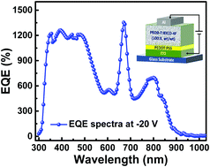 Graphical abstract: Broadband organic photodetectors exhibiting photomultiplication with a narrow bandgap non-fullerene acceptor as an electron trap