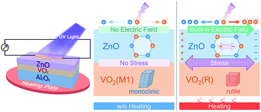 Graphical abstract: Phase-transition-induced superior ultraviolet photodetection of a ZnO/VO2 bilayer