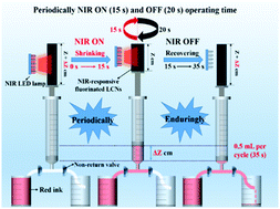 Graphical abstract: Construction of a near-infrared light-controlled reciprocating piston “pump” based on soft actuators with fluorine-containing alternating polymer