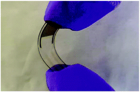 Graphical abstract: Conducting polymer percolation gas sensor on a flexible substrate